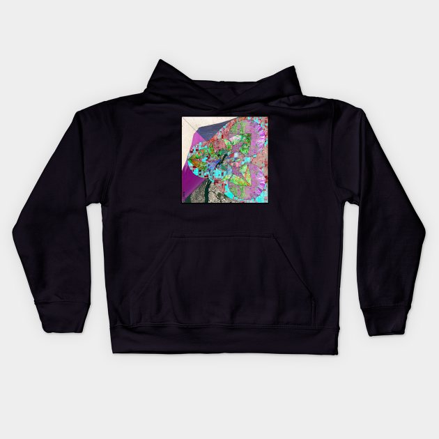 satellite landsat urban mapping ecopop Kids Hoodie by jorge_lebeau